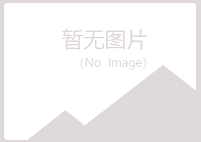 乐山平庸化学有限公司